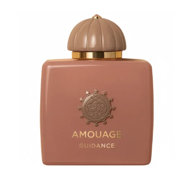 عطر ادكلن آمواج گایدنس (امواژ گویدانس)